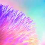 Honor View 20: ecco tutti gli sfondi ufficiali disponibili al download 5