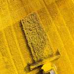 Asus ZenFone 6: ecco tutti gli sfondi ufficiali disponibili al download 10