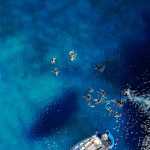 Asus ZenFone 6: ecco tutti gli sfondi ufficiali disponibili al download 14