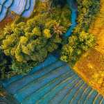 Asus ZenFone 6: ecco tutti gli sfondi ufficiali disponibili al download 17