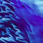 Asus ZenFone 6: ecco tutti gli sfondi ufficiali disponibili al download 18