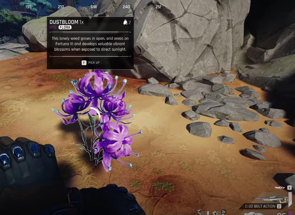 Il Cycle: posizione di Frontier Dustbloom 9