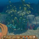 Come ottenere le alghe in Raft 3