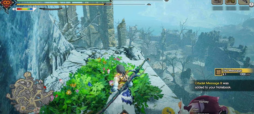 Record di reliquie della cittadella di Monster Hunter