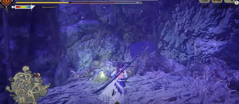 Record di reliquie della cittadella di Monster Hunter