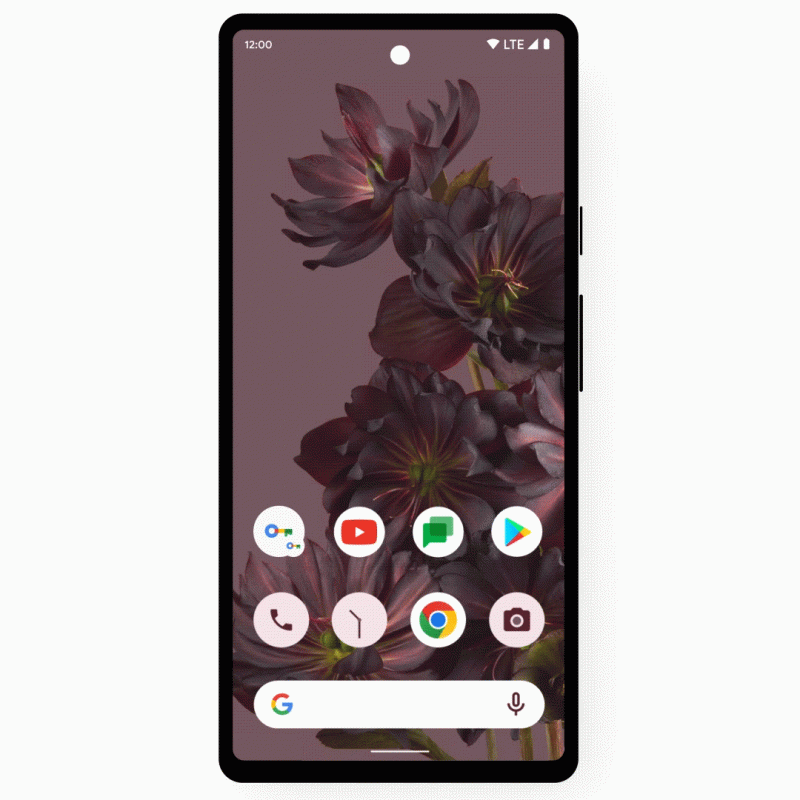 Diversi miglioramenti allo strumento di gestione delle password di Google 4