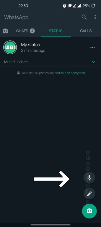 Gli aggiornamenti di stato di WhatsApp ora avranno l'opzione di post solo audio 2