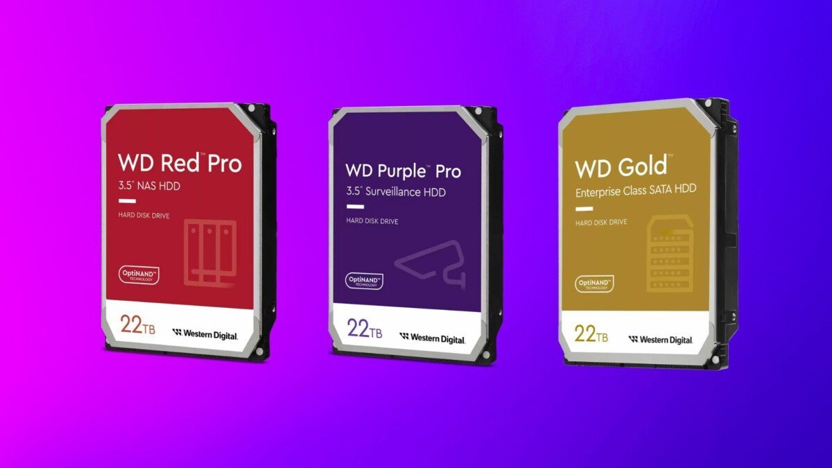 dischi rigidi digitali occidentali da 22 TB