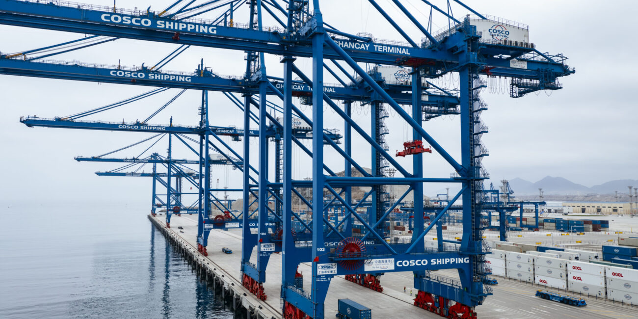 La Cina e il costo ambientale nascosto: deforestazione illegale e importazioni di legname tropicale 1