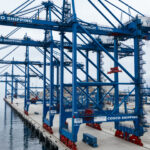 La Cina e il costo ambientale nascosto: deforestazione illegale e importazioni di legname tropicale 3